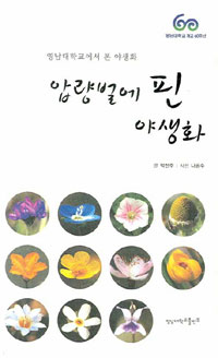 압량벌에 핀 아름다운 야생화 표지 이미지