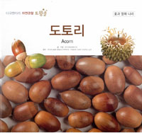 도토리. 27, 꽃과 열매 나라 표지이미지