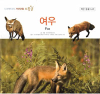 여우. 09, 작은 동물 나라 표지이미지