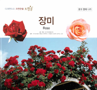 장미. 21, 꽃과 열매 나라 표지이미지