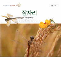 잠자리. 48, 곤충 나라 표지이미지