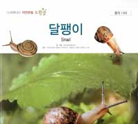 달팽이. 40, 물의 나라 표지이미지