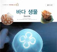 바다 생물 = Sea life