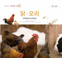 닭·오리 = Chicken＆duck