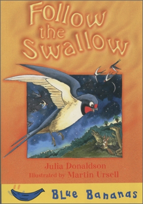 Follow the swallow