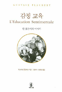 감정교육 : 한 젊은이의 이야기