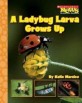 A Ladybug Larva Grows Up (Paperback)