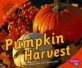 Pumpkin Harvest (Library)