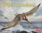 Pteranodon (Paperback)