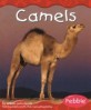 Camels (Paperback) (Desert Animals)