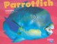 Parrotfish (Paperback)