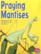Praying Mantises (Paperback)