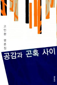 공감과 곤혹 사이 - [교보 전자책] : 고인환 평론집