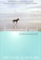 (The)Untethered Soul: the journey beyond yourself