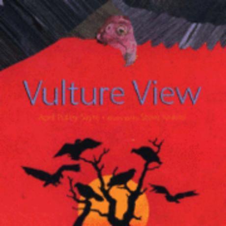 Vultureview