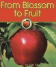 From Blossom to Fruit (Paperback) (Apples)
