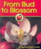 From Bud to Blossom (Paperback) (Apples)