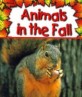 Animals in the Fall (Paperback)