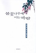 불꽃나무에 이는 바람  :  김희숙 수필집 표지 이미지