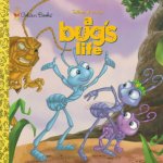 (A) bugs life