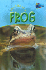 (The)life of afrog 표지이미지
