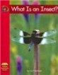 What Is an Insect? (Paperback)