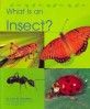 What Is an Insect? (Paperback)