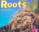Roots (Paperback) (Plant Parts)