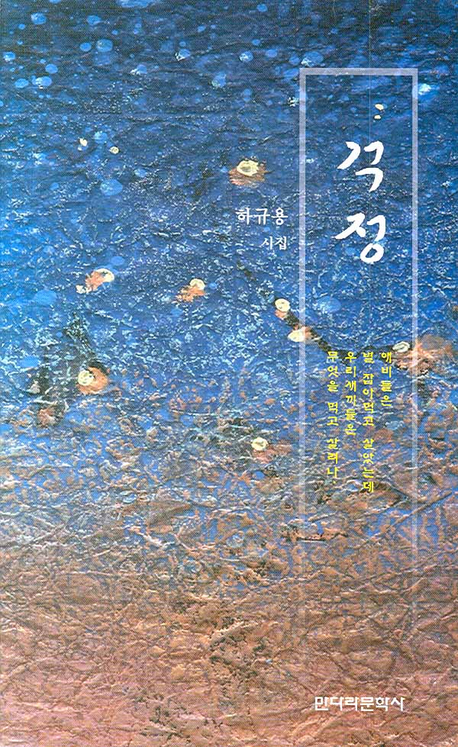 걱정 : 하규용 시집 표지이미지