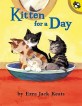 Kitten for a Day (Prebound, Turtleback Scho)