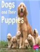 Dogs and Their Puppies (Paperback)