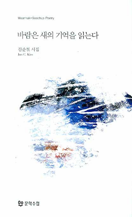 바람은 새의 기억을 읽는다 : 김준철 시집 표지 이미지