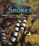 Sea Snakes (Paperback)