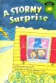A Stormy Surprise (Library)