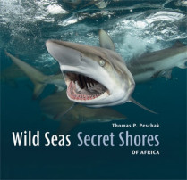 Wild seas, secret shores of Africa