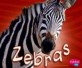 Zebras (School and Library Binding) (Pebble Plus)