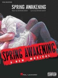 Spring awakening  : a new musical