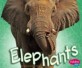 Elephants (School and Library Binding) (Pebble Plus)