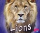 Lions (School and Library Binding) (Pebble Plus)