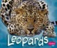 Leopards (School and Library Binding) (Pebble Plus)