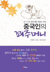 (중국인의) 꾀주머니 : 한 마디로 열가지를 깨닫는 지혜 표지 이미지