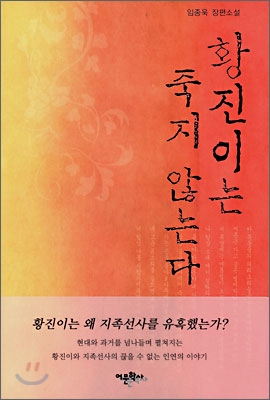 황진이는 죽지 않는다 : 임종욱 장편소설 표지 이미지