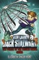 Jack Stalwart: The Puzzle of the Missing Panda (Jack Stalwart) (Paperback) (China)