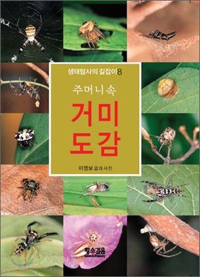 (주머니 속) 거미도감 표지이미지