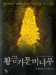 황금가문비나무 : 북아메리카 벌목의 역사에 얽힌 전설, 광기, 탐욕