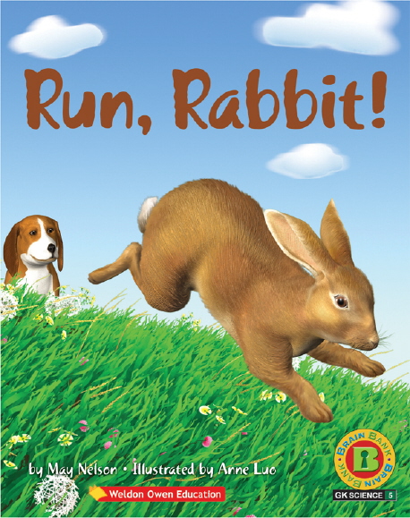 Run, Rabbit 표지 이미지