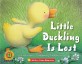 Little duckling is lost