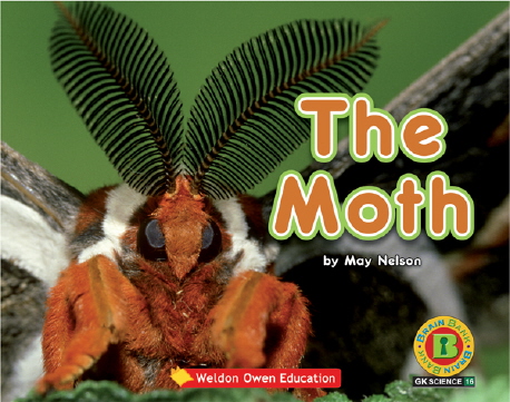 (The) moth 표지 이미지
