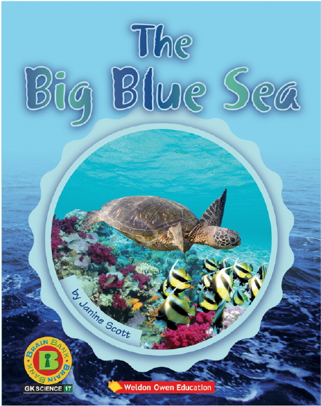 (The) big blue sea 표지 이미지