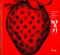 딸기 = Strawberries Fraises Erdbeeren Fragole